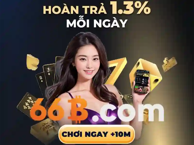 Giới thiệu về 66B