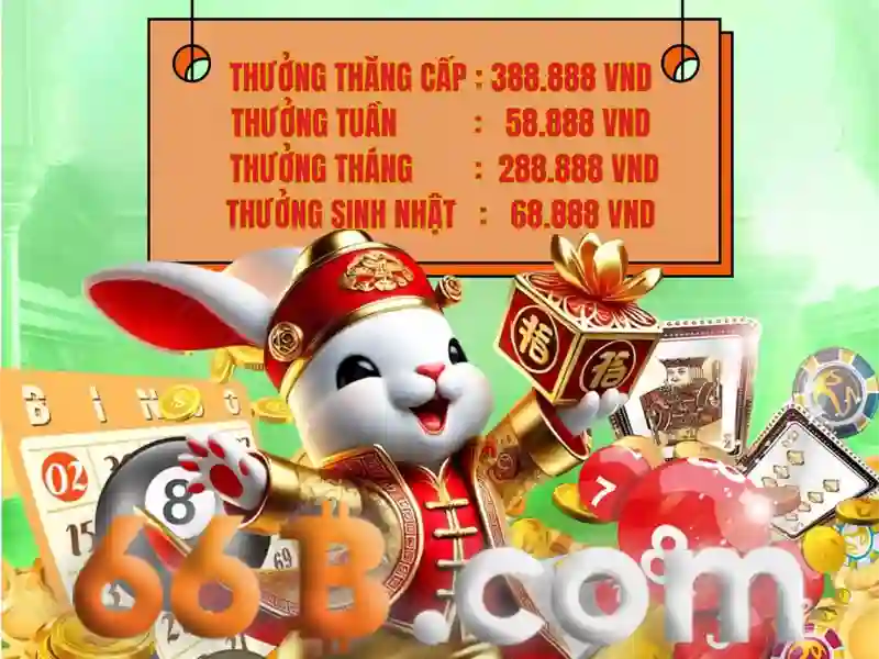 66b và hành trình khám phá sức mạnh của dữ liệu