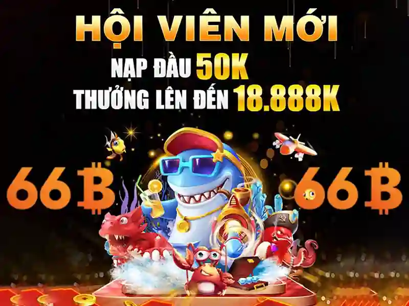 66b: một khái niệm và sự quan trọng trong công nghệ