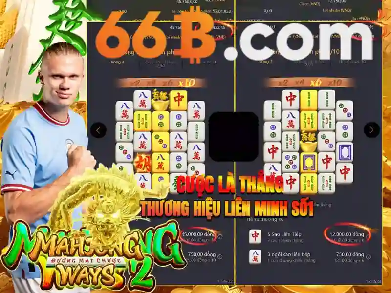 Khả năng phát triển và thách thức của 66b Khả năng phát triển và thách thức của 66b