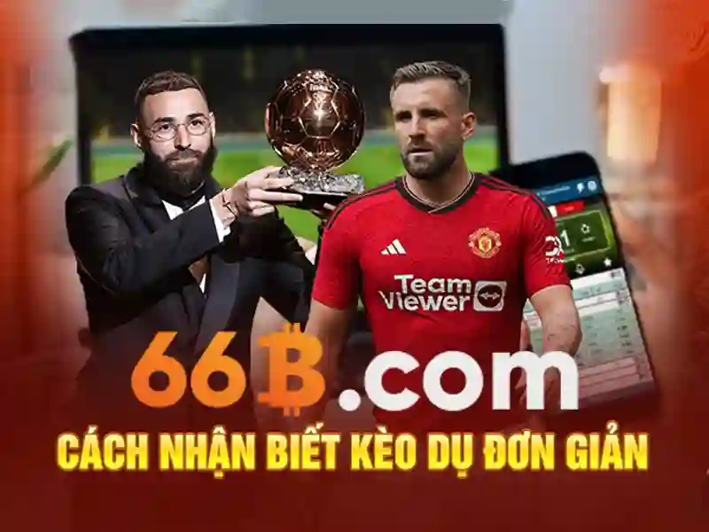 Kiến trúc và khả năng