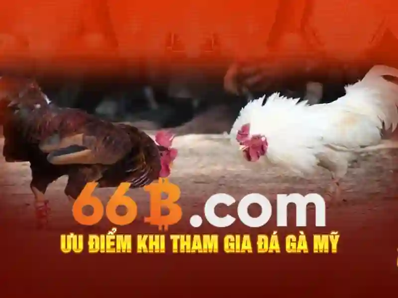 Đánh giá hiệu suất và giới hạn Đánh giá hiệu suất và giới hạn