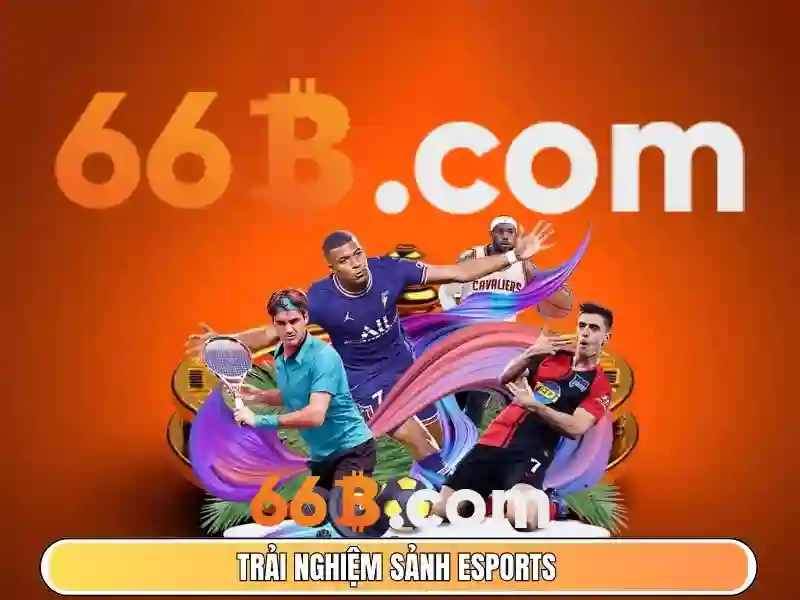Đánh giá hiệu suất và giới hạn