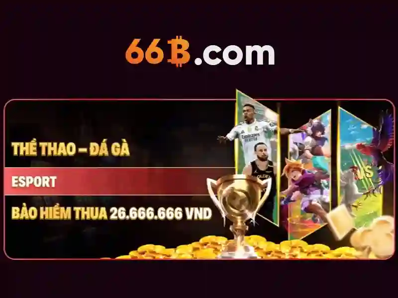 66b và tối ưu hóa hiệu suất hệ thống 66b và tối ưu hóa hiệu suất hệ thống