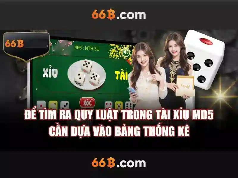 Trải nghiệm người dùng và phản hồi cộng đồng