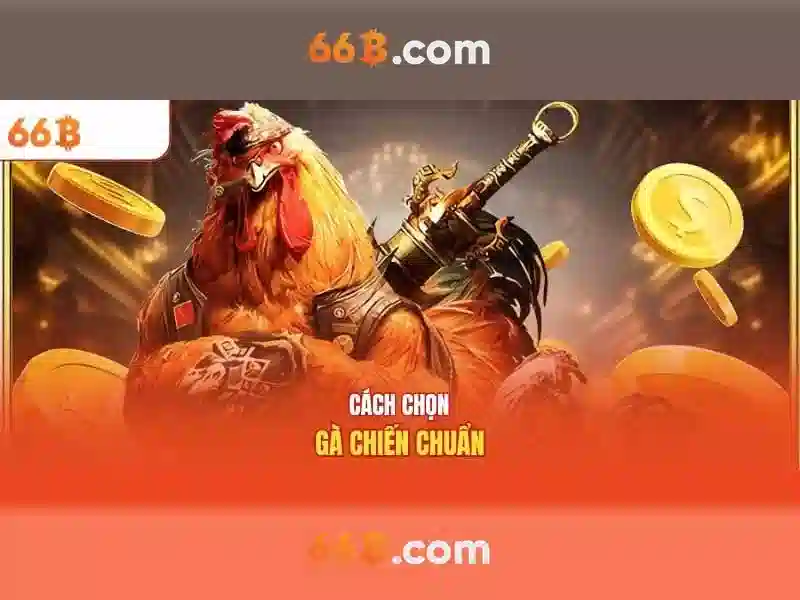 66b: Khám phá và ứng dụng
