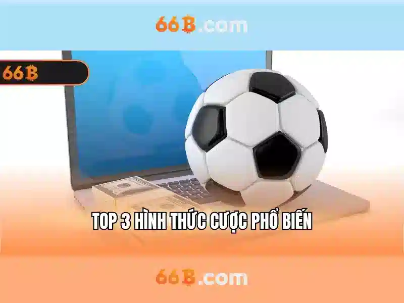 Khái niệm 66b
