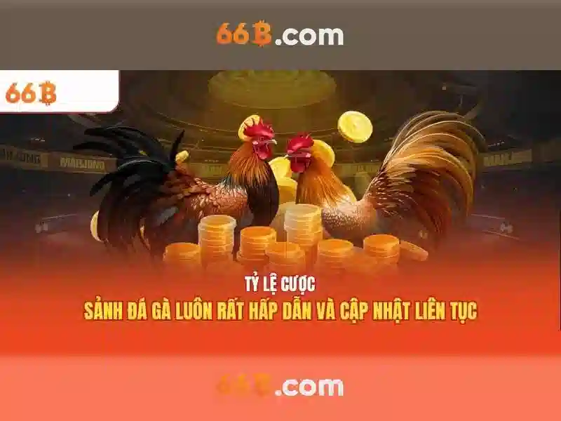 Nguồn gốc và ý nghĩa của 66b