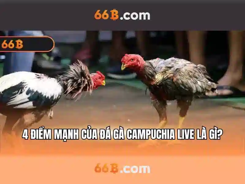66b – ký hiệu mang nhiều ý nghĩa trong công nghệ và văn hóa