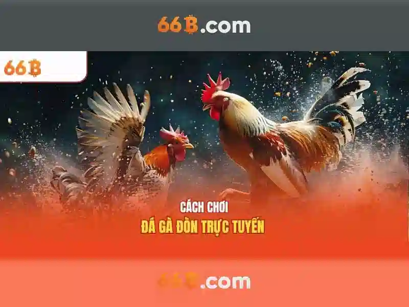 Nguồn gốc và sứ mệnh của 66b nguyễn sĩ sách