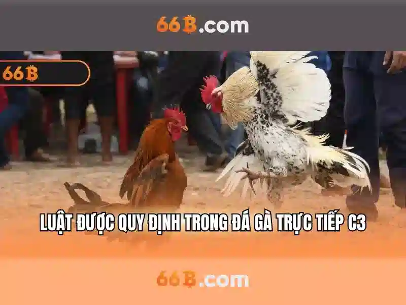 66b nguyen sy sach – Định hướng phát triển và tầm nhìn tương lai