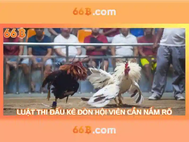 Thông số và kiến trúc cơ bản