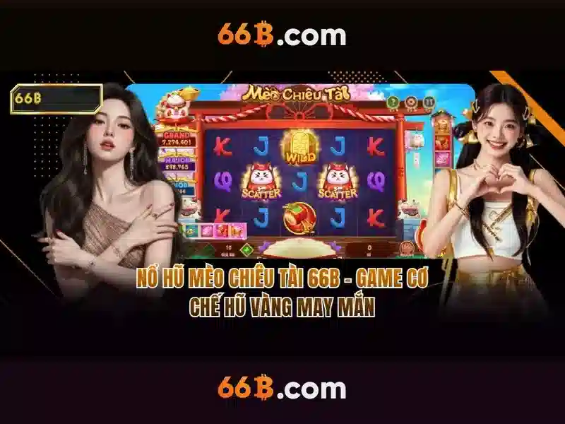 66b là gì
