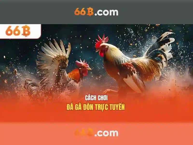 Quy mô và cấu trúc