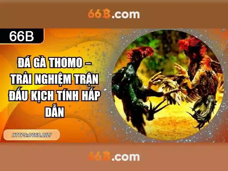 66B và vai trò của nó trong AI