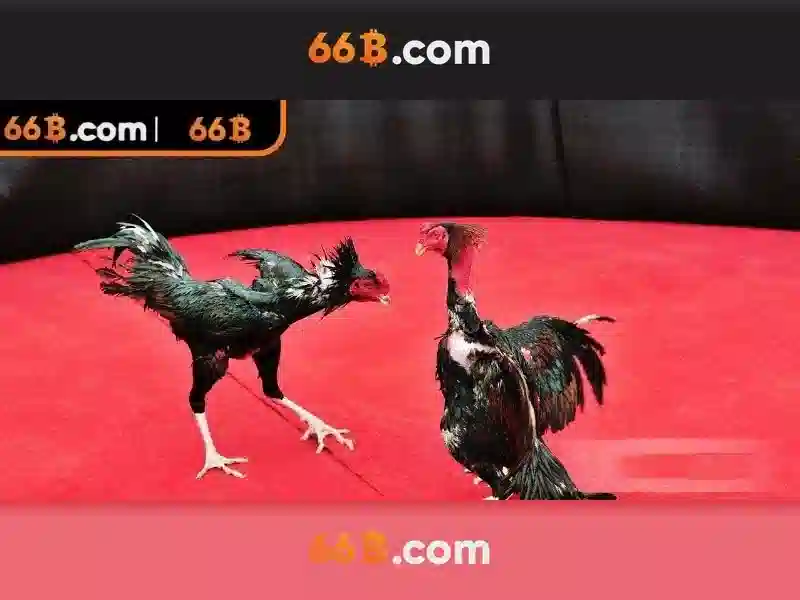 Ứng dụng của 66b trong an ninh dữ liệu Ứng dụng của 66b trong an ninh dữ liệu