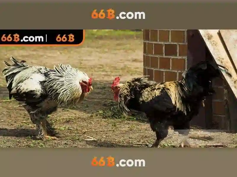 Kiến trúc và tham số Kiến trúc và tham số