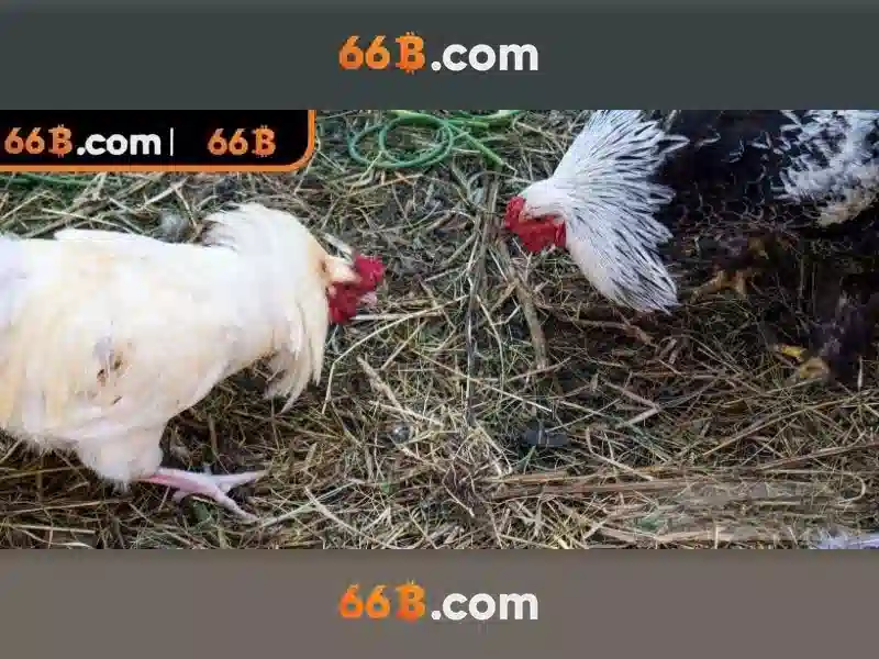 66B: Mô hình ngôn ngữ với 66 tỷ tham số và ý nghĩa của nó