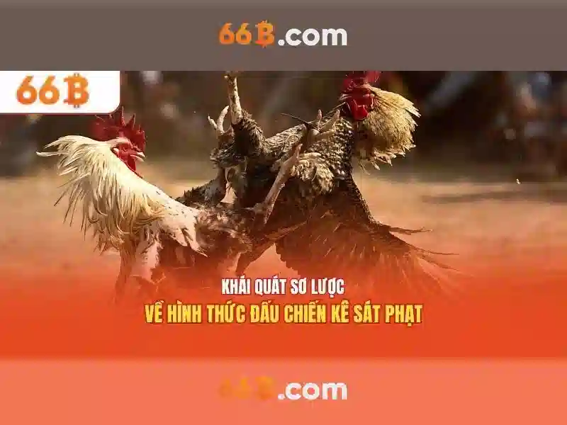 Khía cạnh kỹ thuật của 66b