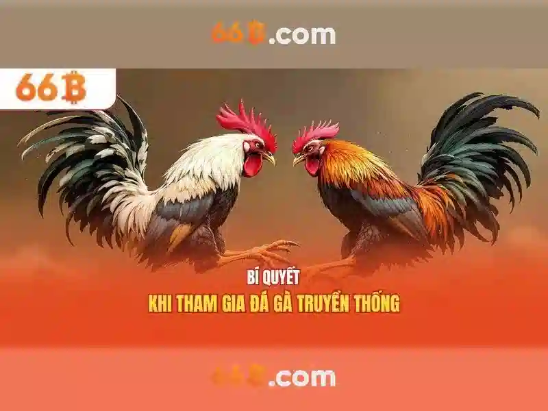 66B là gì? 66B là gì?