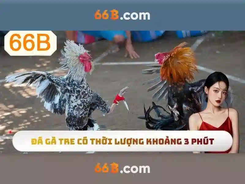 66B: Khám phá mô hình ngôn ngữ khổng lồ