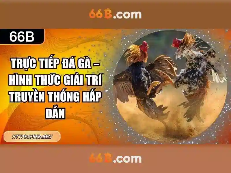 Giới thiệu về 66b