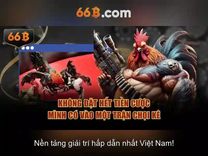 Làm thế nào để sử dụng 66B một cách hiệu quả Làm thế nào để sử dụng 66B một cách hiệu quả