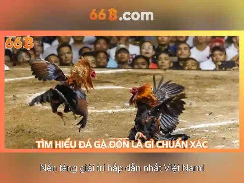 Mô hình 66B: Khai thác sức mạnh của tham số lớn