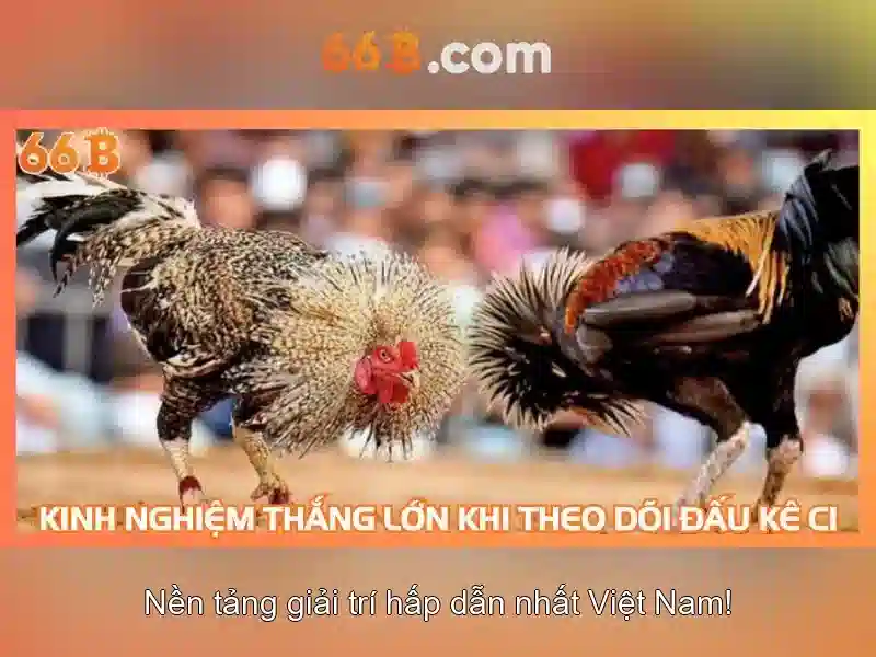 66b: Mô hình AI với 66 tỷ tham số