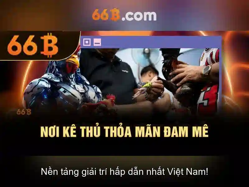 Lịch sử ngắn gọn về 66b