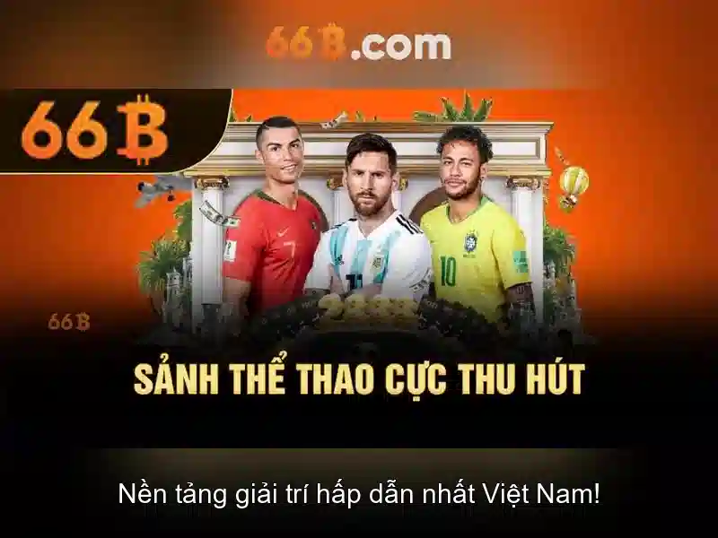 66b: một khái niệm đa dụng