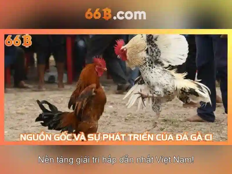 Ứng dụng thực tế