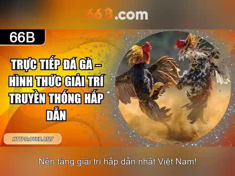 66b: một khía cạnh của số học và công nghệ
