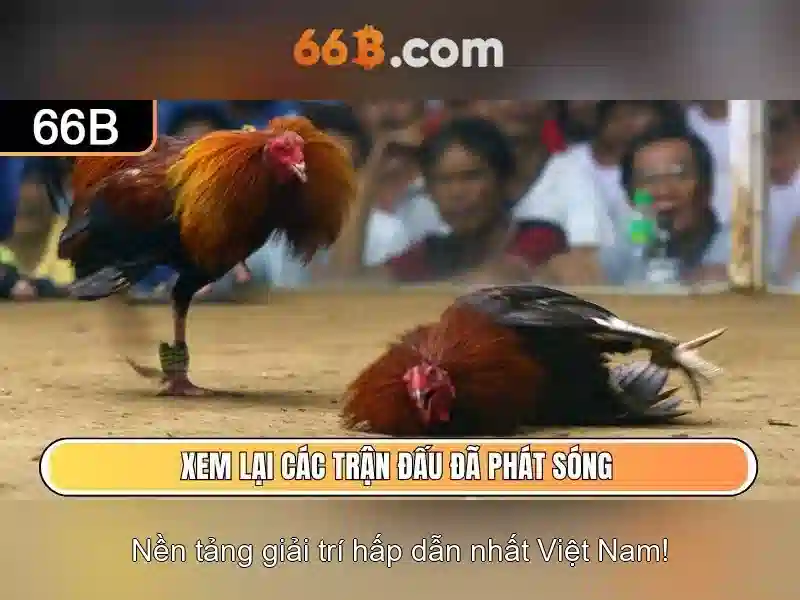 Kiến trúc và tham số