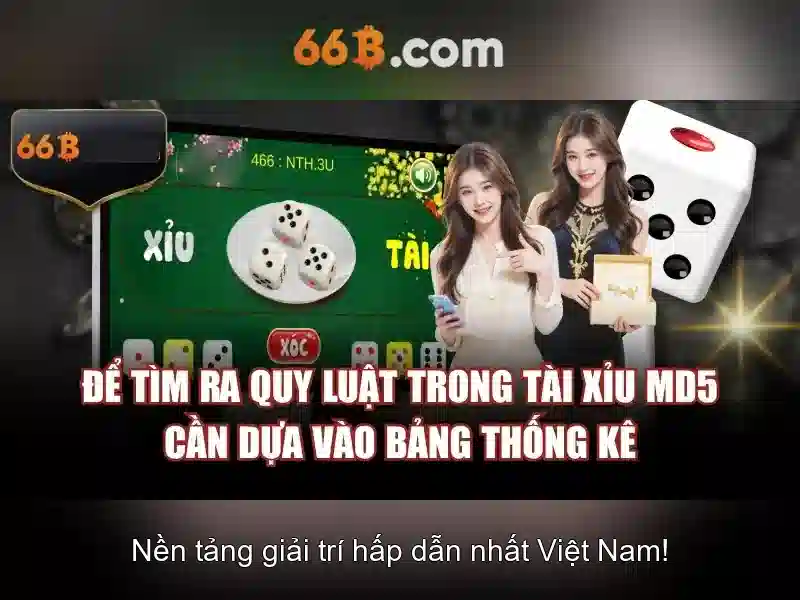 Mô hình 66B là gì?