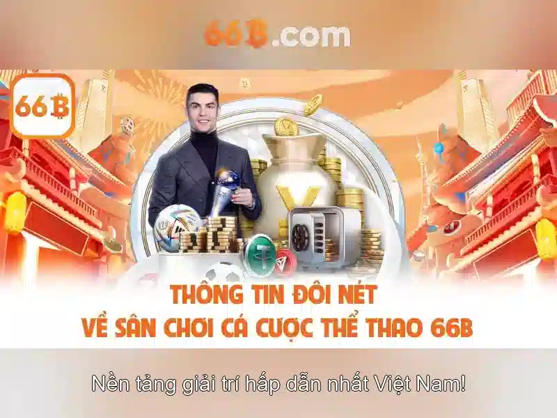 66b trong công nghệ thông tin