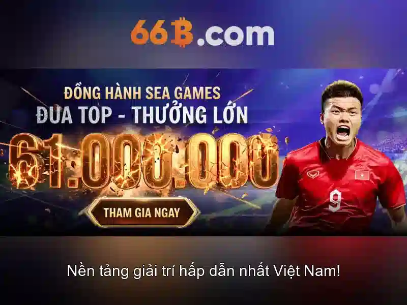 66b là gì và các ứng dụng