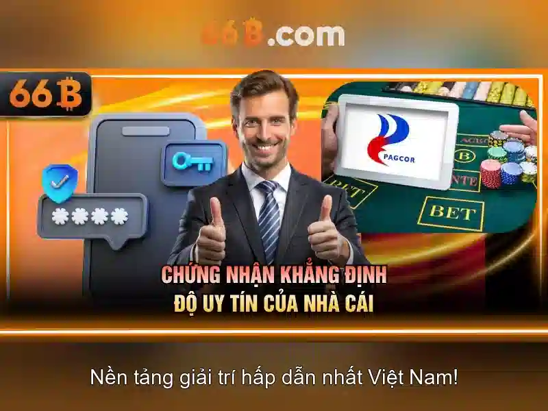 66b: một khái niệm và phân tích
