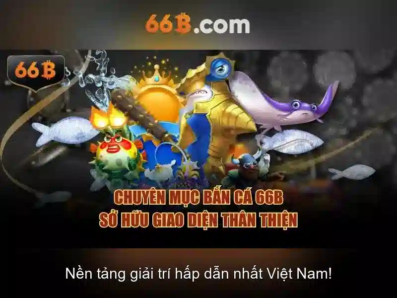 66B là gì?