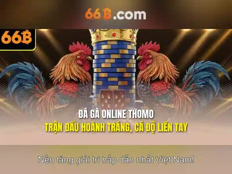 66b và những câu chuyện tiềm ẩn