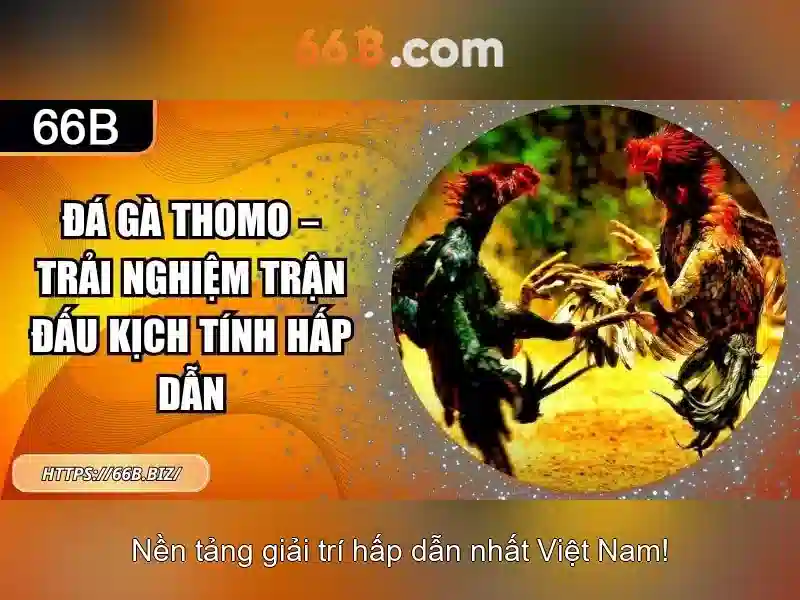 hornsgatan 66b – tổng quan chủ đề và giá trị cốt lõi