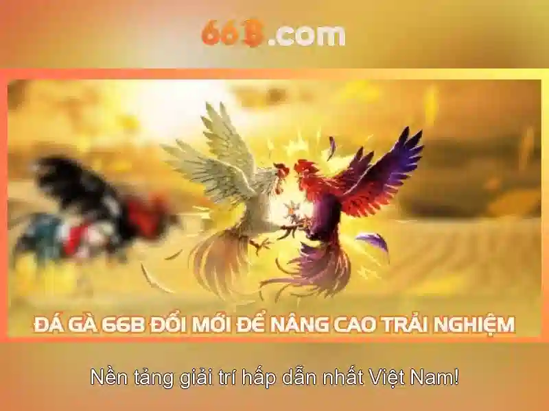 Huấn luyện và dữ liệu Huấn luyện và dữ liệu