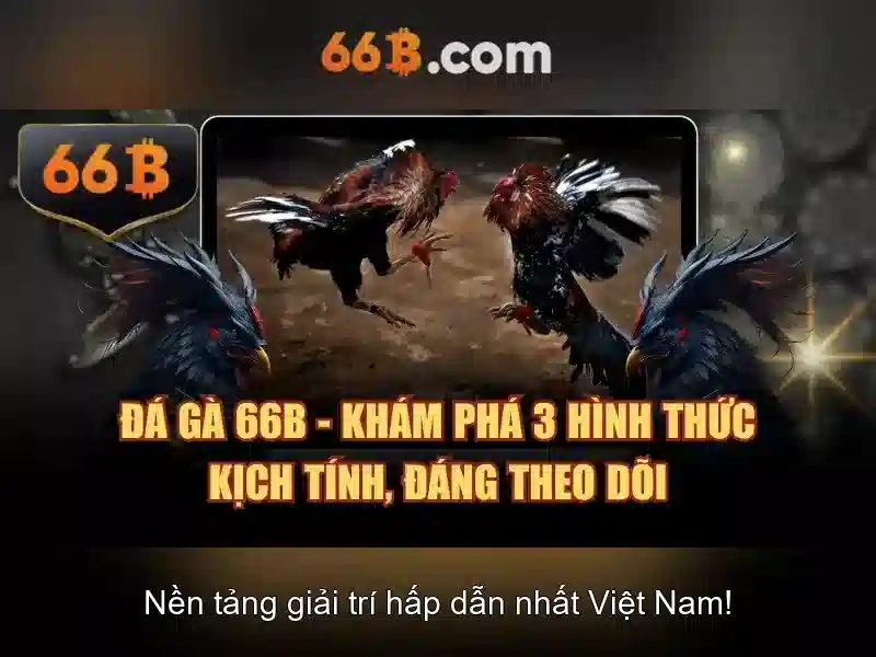Giới thiệu về 66B