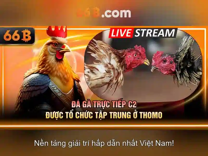Mẹo chơi bắn cá 3 cây dễ ăn tiền nhà cái