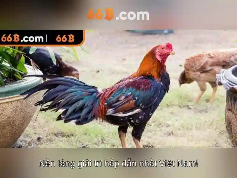 Kích thước và dữ liệu huấn luyện