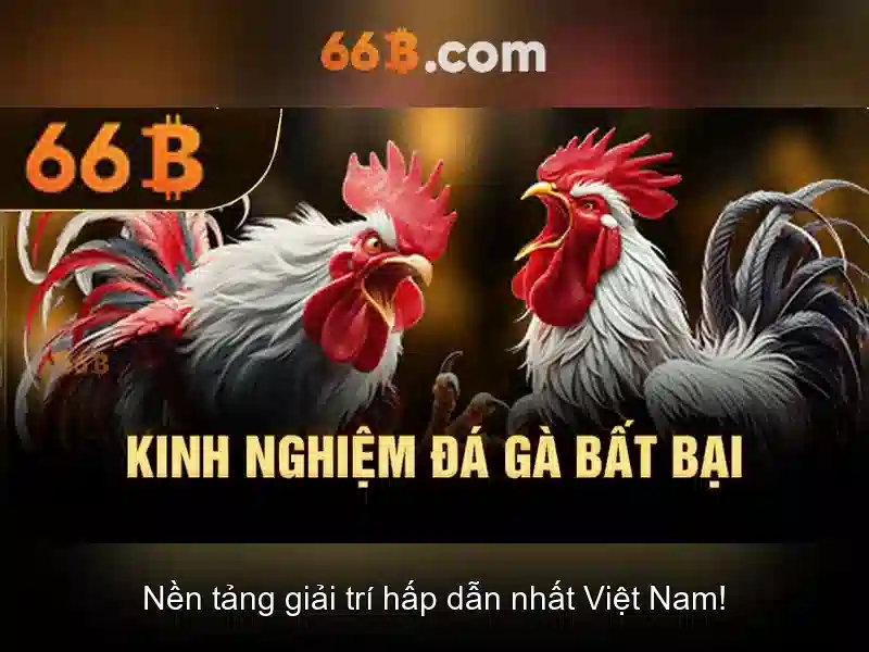 Khái quát về kích thước và dữ liệu