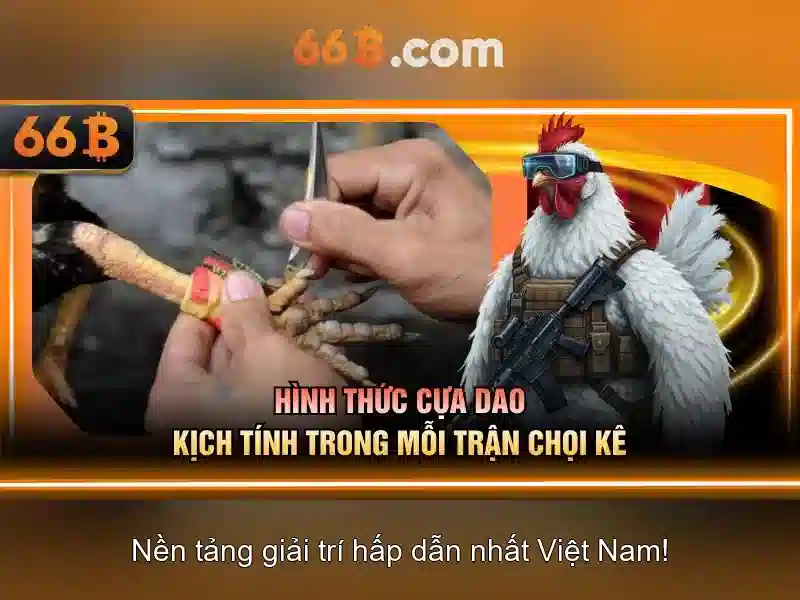 66b: Định nghĩa, cấu trúc và ứng dụng