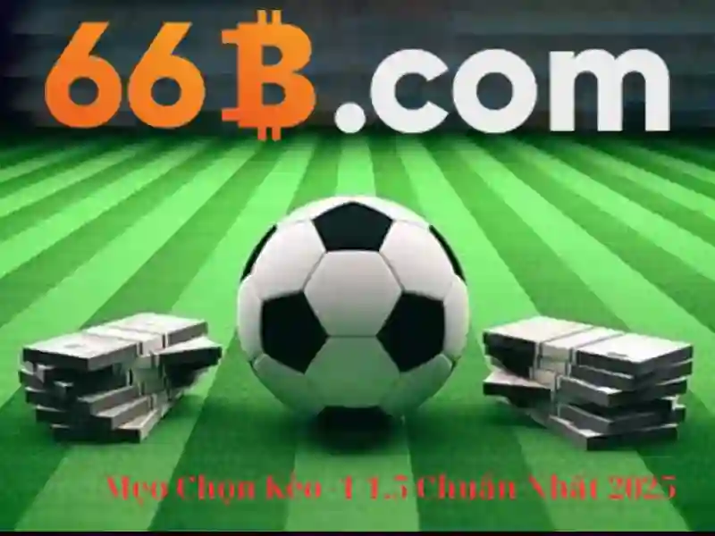 link tải 66b apk - tổng quan, trải nghiệm và định vị