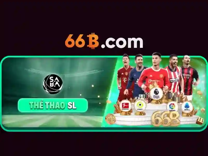 66b busz menetrend – tổng quan và giá trị cốt lõi