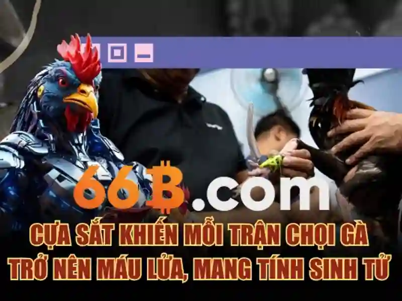 66b trong công nghệ thông tin 66b trong công nghệ thông tin
